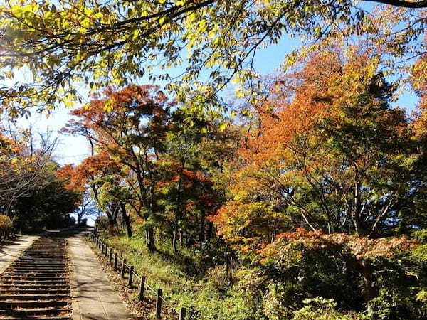 弘法山公園（弘法山）は初心者にも優しいお手軽ハイキングコース