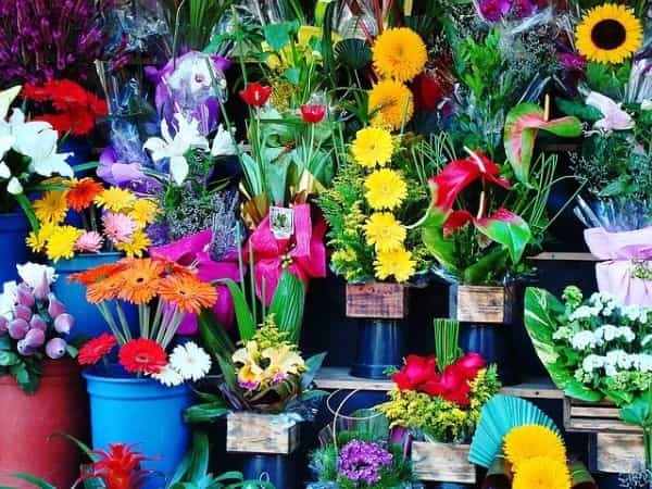 【連載】花束の買い方って？おしゃれな花束の頼み方や選び方を花屋目線で紹介
