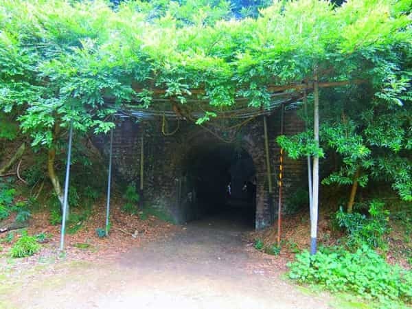 和歌山県・あの友ヶ島に上陸！独特な雰囲気を持つ神秘的な場所でした◎