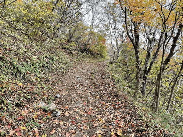 【島根】石見富士「三瓶山」のカルデラを大縦走！