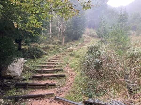 【兵庫県朝来市】シャッターを切る手が止まらない！ 時代に翻弄された天空の城「竹田城」の魅力とは？