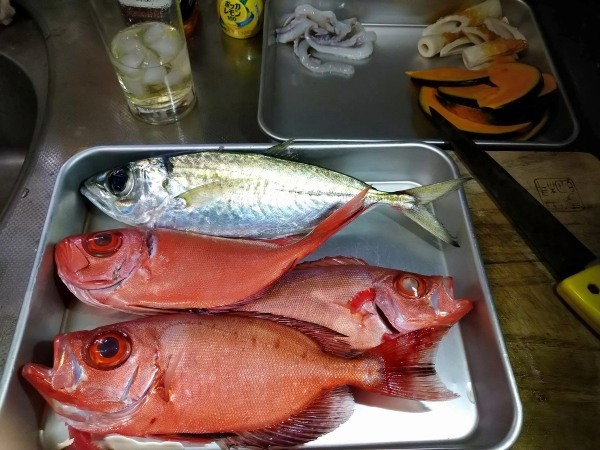 【連載】釣っ食べ第20弾！そうだ、てんぷら定食たべよう。お箸の国の人だから