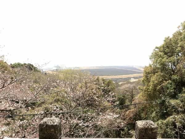 荒尾市の「四山神社」は、景色に御朱印に楽しみ方があり過ぎた。