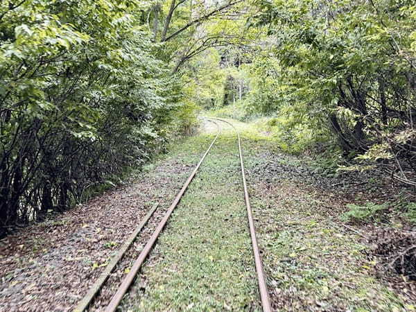 【秋田】大館・小坂鉄道レールバイクに乗って爽快サイクリング？