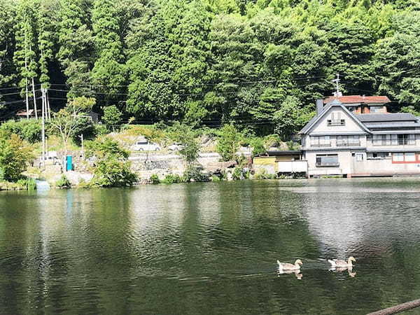 高千穂峡と由布院・黒川温泉郷に行ってみた。自然がおりなす絶景と川下りを体験！