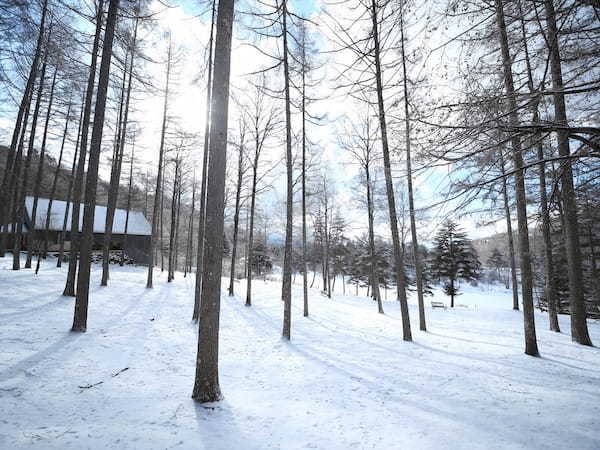 諏訪広域6市町村在住者・宿泊者・別荘利用者を対象にした「蓼科もりぐらしフェスタ」開催決定