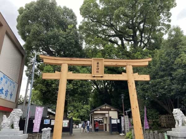 平成初期に流行した人面魚は今どうしているのか調べてみました。