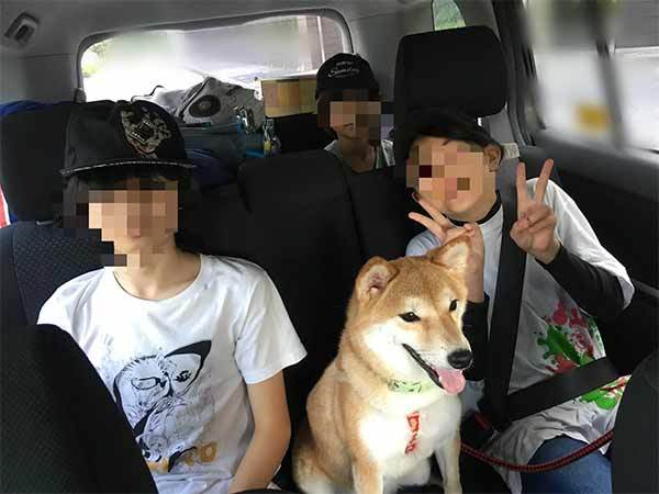 【読者さんからの質問にお答え】キャンプに愛犬を連れて行くにはどうすればいい？準備や対策を解説！