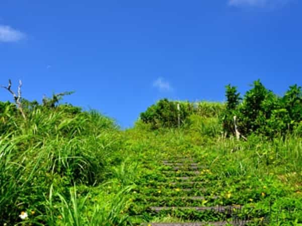 小浜島で2番目に高い山「西大岳」に登る！