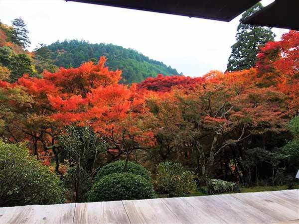 京都の紅葉といえば三尾三山！神護寺・西明寺・高山寺