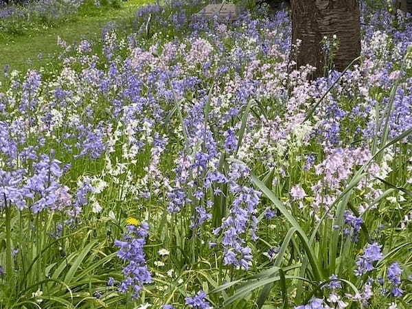 イギリスの季節の花々の織りなす絶景を楽しもう！