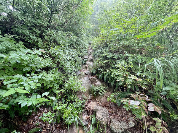 【山形】神々しい金峯山に登拝