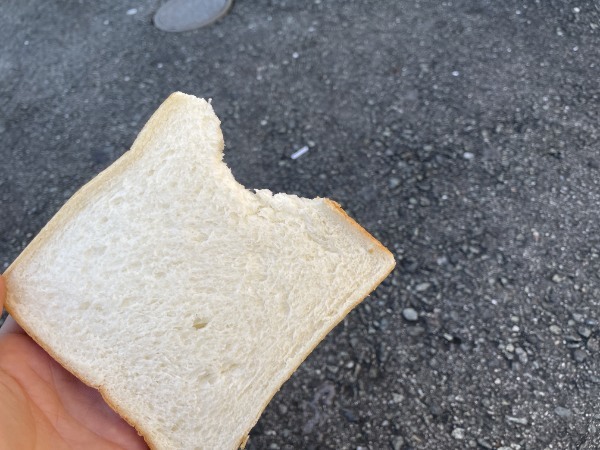 食パンくわえて「遅刻遅刻～」って角を曲がったら恋が生まれるのか