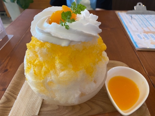 【上天草市】ガトーショコラで人気の「おやつ家菓音」新定番！？1杯で2つの味が楽しめるふわふわかき氷