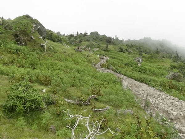 【関東】梅雨の登山におすすめの山4選！景色が残念でも楽しめるルート情報も！