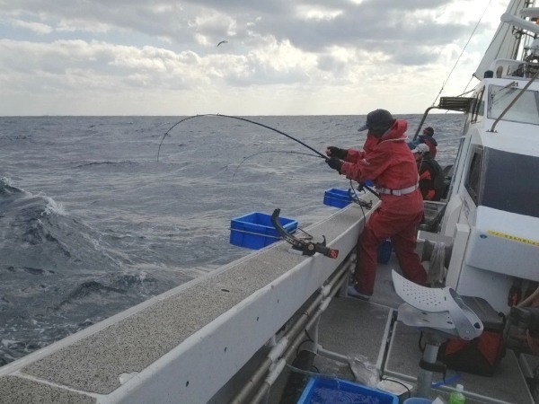 メダイ釣りガイド！釣り方の基本やコツを徹底解説！