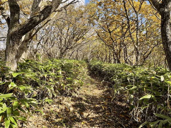 【島根】石見富士「三瓶山」のカルデラを大縦走！