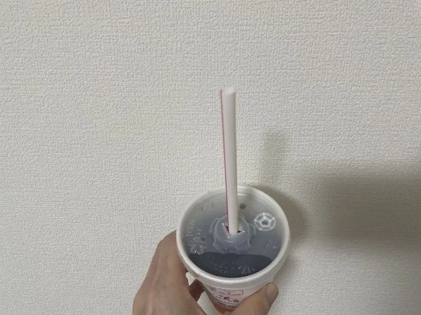 マックで紙ストローではなく「プラスチック製」をもらうことは可能？聞いてみた