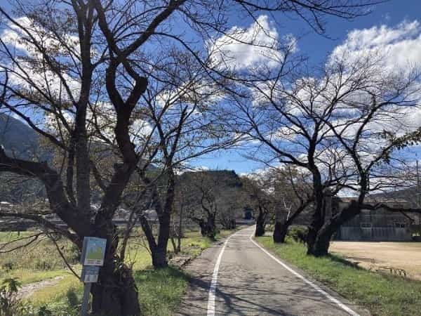 【兵庫県朝来市】シャッターを切る手が止まらない！ 時代に翻弄された天空の城「竹田城」の魅力とは？