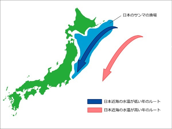 【2023年版】なぜサンマは不漁が続いているのか？価格は何倍に？