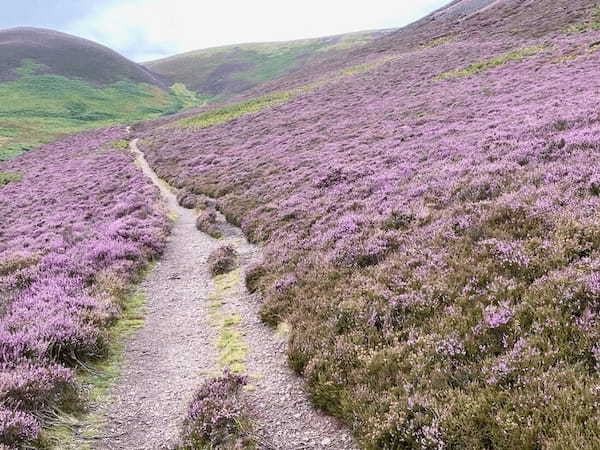 イギリスの季節の花々の織りなす絶景を楽しもう！