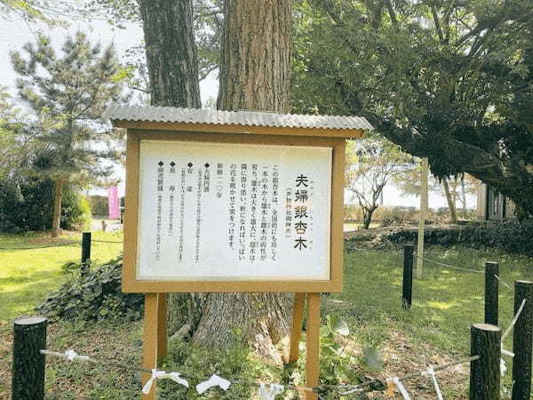 【宇城市】車を飛ばして戸馳島（とばせじま）へ。行き当たりばったり旅。