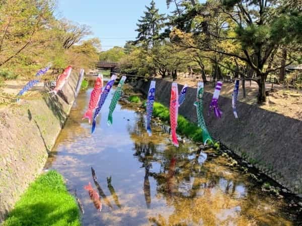 今年も夙川に泳ぐ”こいのぼり”