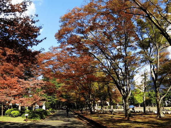 東京／お散歩好きな方必見！都心のど真ん中にこんな緑豊かな場所があるなんて・・・