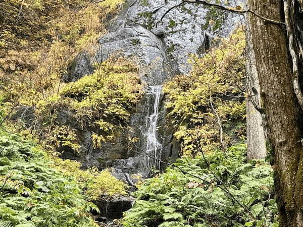 【青森】奥入瀬渓流の観光はレンタサイクルがおすすめ！ただし電動で。。。