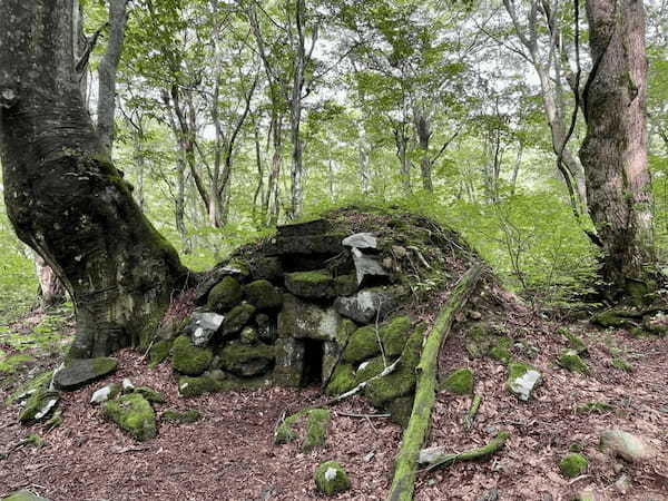 【秋田】森の巨人「あがりこ大王」を見に行こう！獅子ヶ鼻湿原の歩き方