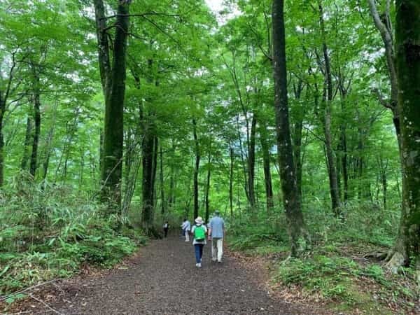 世界遺産・白神山地に存在する神秘的な湖「十二湖」に行ってきました♪