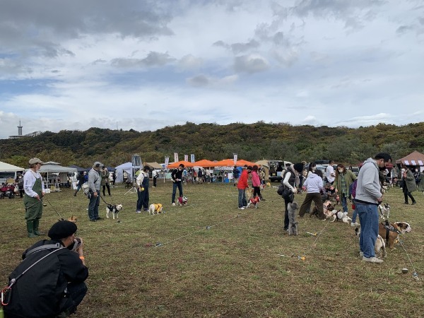 湘南国際村めぐりの森にて 保護犬のためのチャリティイベント開催！ DOGs CONFERENCEイベントレポート