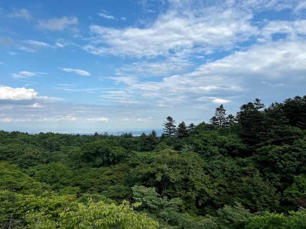 【スタッフ通信】県境の老舗茶店へドライブ。ハンパない絶景と力餅が待っていた