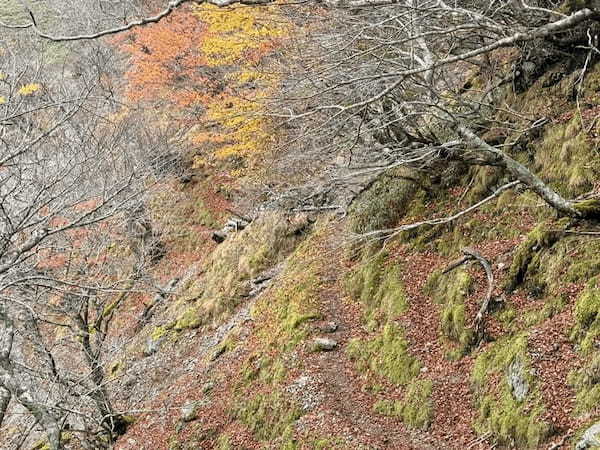 【日本百名山】23座目は天空の絶景ロードを見たくて剣山へ（徳島県）