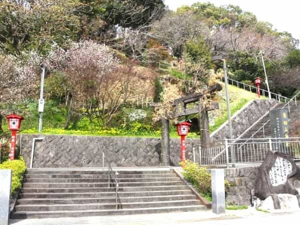 荒尾市の「四山神社」は、景色に御朱印に楽しみ方があり過ぎた。