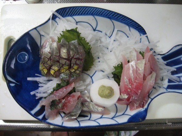 【連載】マアジの居ない地域で堤防アジング！ええ、釣れたから食べます！