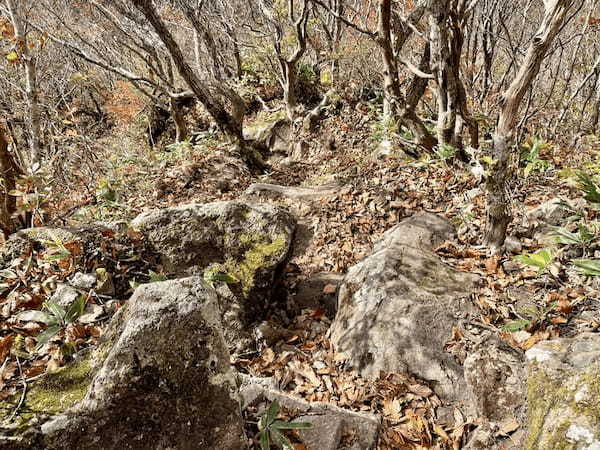 【島根】石見富士「三瓶山」のカルデラを大縦走！