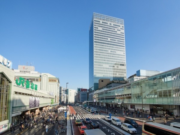 【連載】新宿へおでかけ♪自然とショッピング、グルメを楽しもう＜南口＞