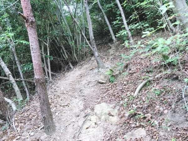 甲山「鷲林寺」のさらに奥、「観音山」の絶景を見にいってみた【にしつーアウトドア】
