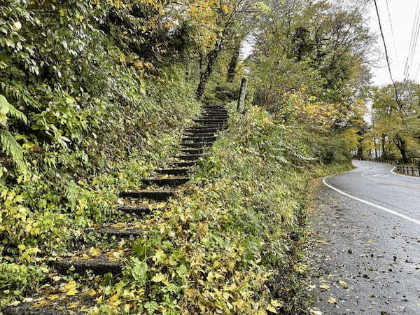 【日本百名山】2座目は雨の中をひたすら登った大山（鳥取県）