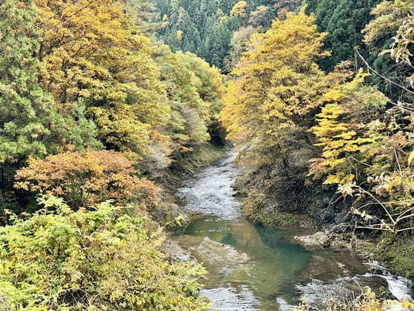 【秋田】大館・小坂鉄道レールバイクに乗って爽快サイクリング？