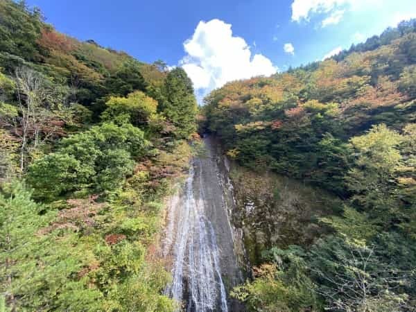 秋はスリル！ショック！サスペンス！白水滝の吊り橋で紅葉とスリルを味わった