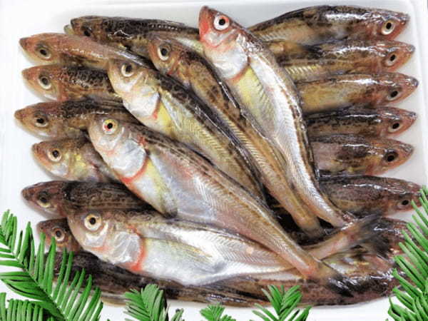 「とびこ」ってなんて魚の卵?数の子やいくらといった魚卵とは違うもの?