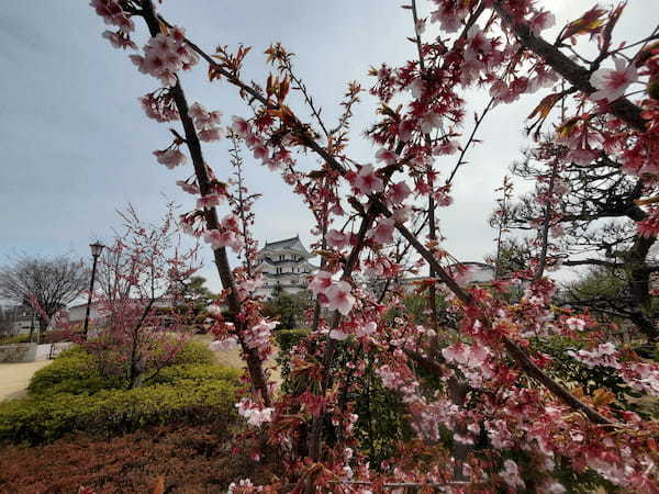 【チェアリング】尼崎城は楽しみながら学べるお城！チェアを持って出かけてみよう！