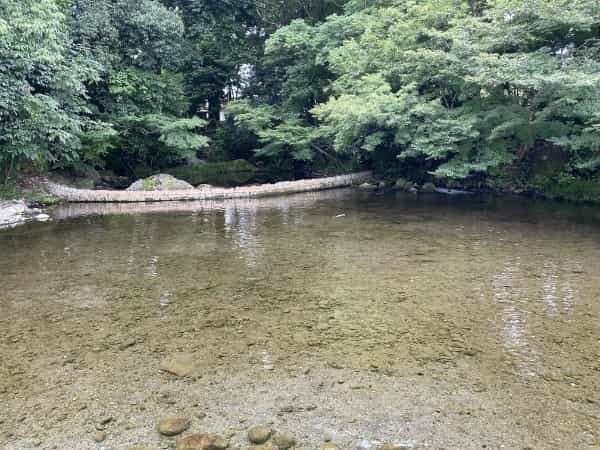 平成初期に流行した人面魚は今どうしているのか調べてみました。