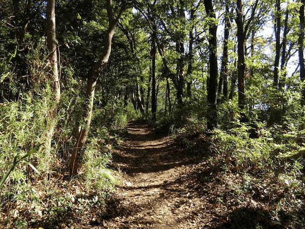 弘法山公園（弘法山）は初心者にも優しいお手軽ハイキングコース