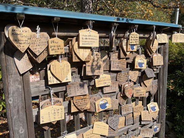 鳥取「白兎神社」って知ってますか！？日本最古級のラブストーリーから縁をいただこう！