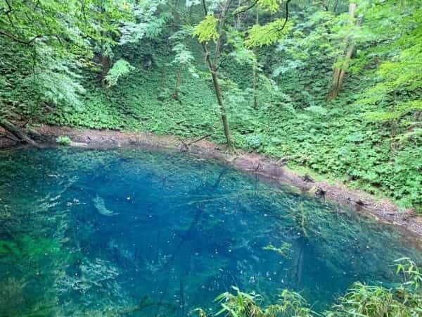 世界遺産・白神山地に存在する神秘的な湖「十二湖」に行ってきました♪