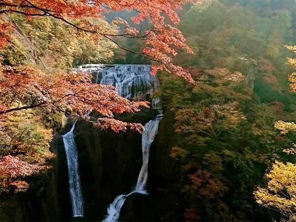 【関東】駅からハイキングできる人気コース5選！日帰りで気軽に観光まで満喫！