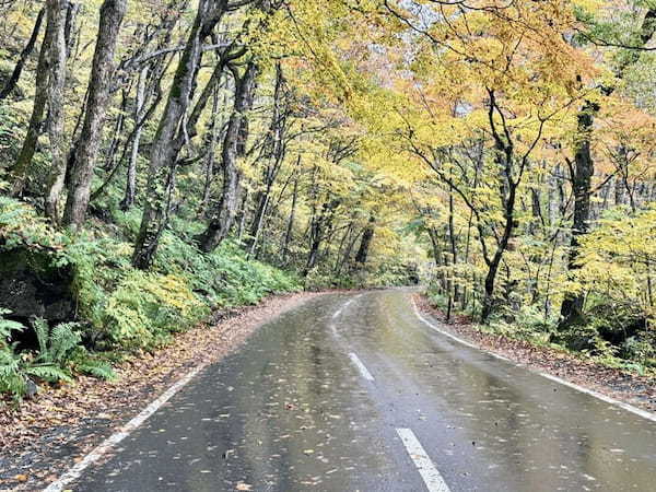 【青森】奥入瀬渓流の観光はレンタサイクルがおすすめ！ただし電動で。。。